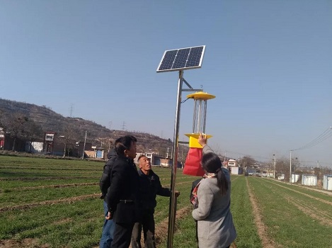 太阳能杀虫灯